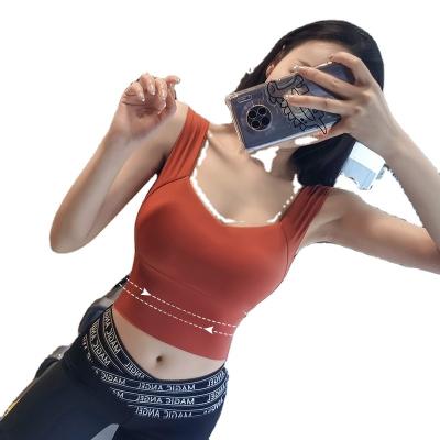 China 2023 Newest Sports Crop Top Breathable Women High Impact Bra Wholesale For Fitness Sexy Off The Shoulder Halter Gym Yoga Support Bras for sale