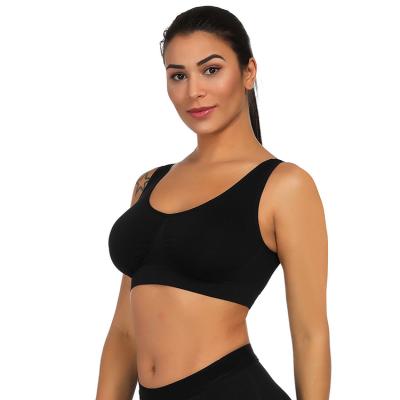 China Fashion Antibacterial Elastic Non-wired Non-Padded Seamless Sports Bra Women Sexy for sale