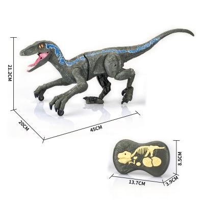 China New HPD 2.4G Five Way Forward Simulation Toy Dinosaurs For Kids Electric Walking Dino RC Animal Remote Radio Control With Lights & Sound for sale