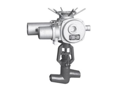 China BJ961 Electric Globe Valve for sale