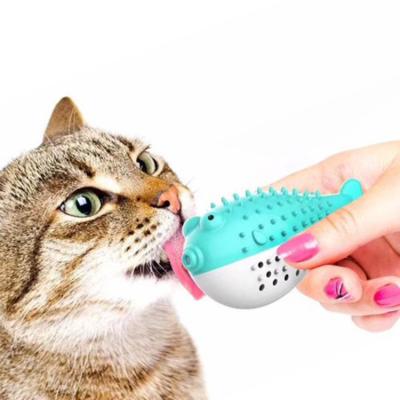 China Viable Noise Pet Toy Tpr Catnip Puffer Fish with Bell Toy Cleaning Toothbrush Molar Gnawing Cat Toys for sale