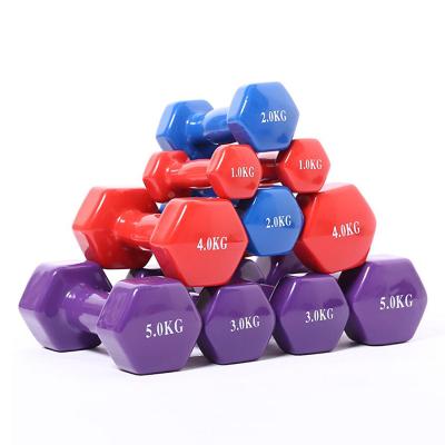 China Universal Home Hand Strength Training Workouts Equipment Gym Weight Free Dumbbell For Women Men for sale