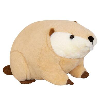 China Free Sample Custom Plush Fish Stuffed Animal Plush Soft Wholesale New Arrival Beaver Rat Plush Toys OEM Fashion for sale