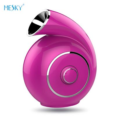 China New OEM Mesky Cordless Acne Treatment Logo Cordless Professional Facial Silicone Detergent Sonic Facial Cleansing Brush for sale