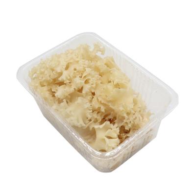 China Dry sparassis crispa cultivated cauliflower mushroom high nutritional value edible mushrooms for sale