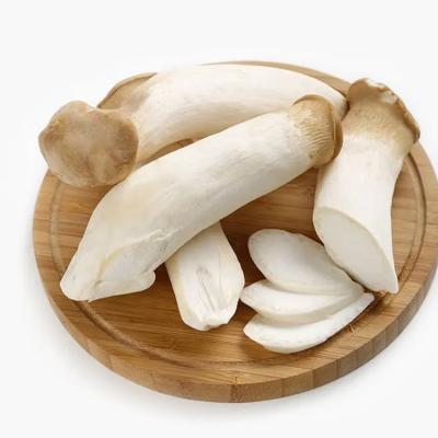 China FROZEN FROZEN Trumpet Mushroom King Oyster King Culticated Pleurotus Unseasoned Eryngii for sale