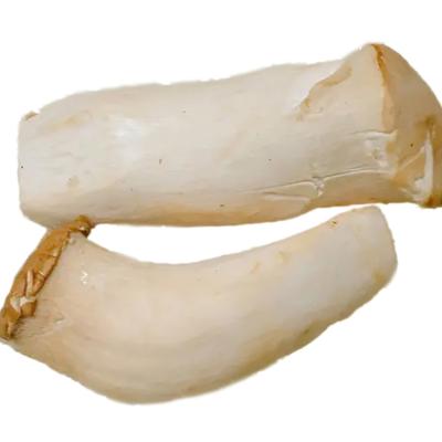 China Trumpet Mushroom King Oyster Mushroom King Oyster Mushroom Pleurotus White Unwild Healthy Raw Eryngii Eryngii for sale