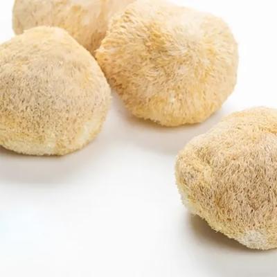 China Factory price healthy lion's mane frozen hericium erinaceus wholesale FROZEN hericium erinaceus for sale