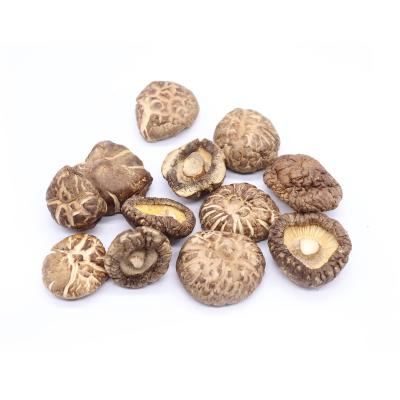 China Flower Shiitake Mushroom Flower Mushroom Dry Organic Healthy Air Dried Whole Mushrooms for sale