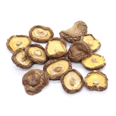 China Lentinus edodes natural dry whole dry shiitake mushroom mushroom unseasoned on sale for sale