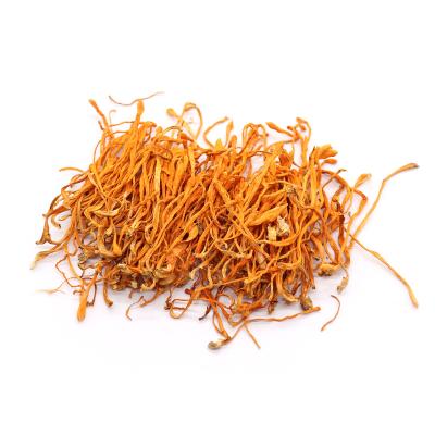 China Dried Naturally Air Cordyceps Flower High Grade Dried Cordyceps Militaris Cultivated Cordyceps Militaris Flower for sale