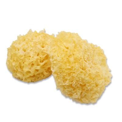 China Wholesale dried tremella fuciformis dried white fungus high quality pure silver ear mushroom for sale