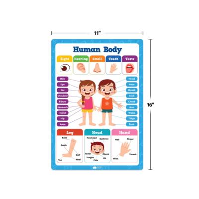 China Custom Printing Education Kids Reading And Speaking Educational Alphabet Poster For Kids for sale