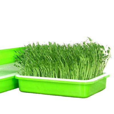 China Assured Plastic Biodegradable Peat Plants Nursery Seedling Trays CLASSIC Quality and Quantity Multi Pot Tray for sale