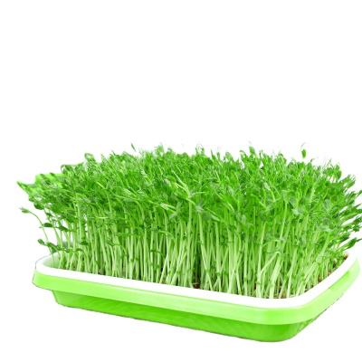 China CLASSIC Customized Plant Nursery Pots Seedling Tray Shelves Seedling Tray for sale