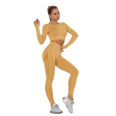 China QUICK DRY women's sets long sleeve top seamless outfits high waist push up gaiters YS001 for sale