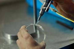 Verified China supplier - Danyang Wishful Optical Co., Ltd.