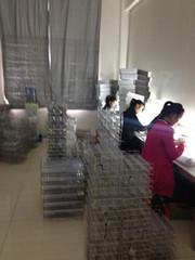 Verified China supplier - Danyang Wishful Optical Co., Ltd.