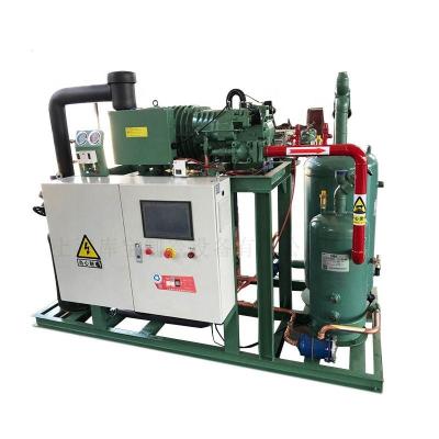 China HSN7451-60 refrigeration screw compressor condensing unit for sale