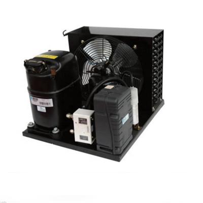 China CAJ2446ZBR Tecumseh Compressor 1 Hp Condensing Unit 220V Ac Condenser Unit R404A Freezer Condensing Units for sale