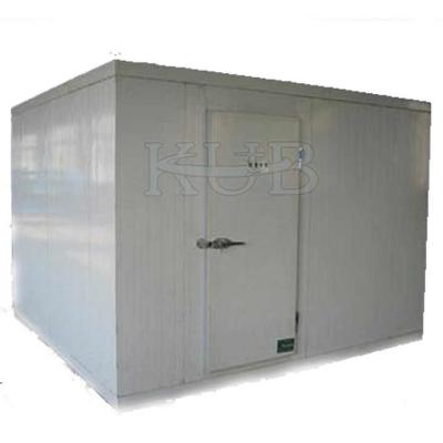 Cina Meat storage cold storage 55 cubic meters temperature -20 degrees cold storage price in vendita