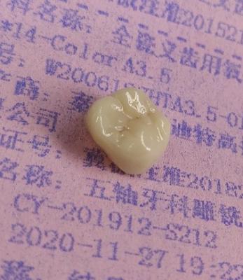 China A zircônia obstrui a cópia 3D dental pela trituração do CAD CAM à venda