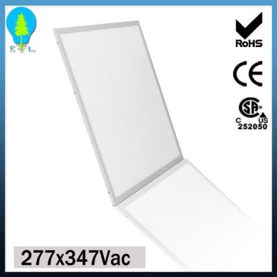 China La luz del panel llevada blanca caliente comercial de techo para construir, 600x600 llevó el panel en venta