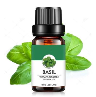 China Peel Revitalizer 100% Natural and Pure Organic High Quality Basil Oil Essential Oil for sale