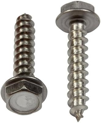 China HEX 18-8 (304) Stainless Steel Hex Washer Head Screw Self Tapping Wood Screw for sale