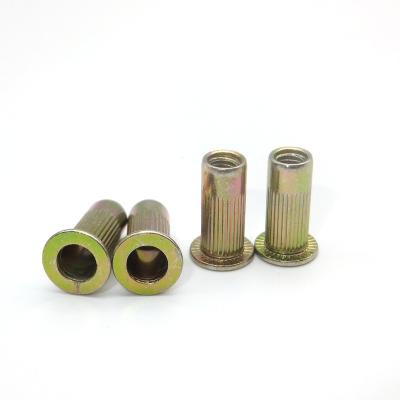 China General Industry Milled Stainless Steel Zinc Wall Thin Internal Thread Insert Furniture Rivet Plugged Nut for sale