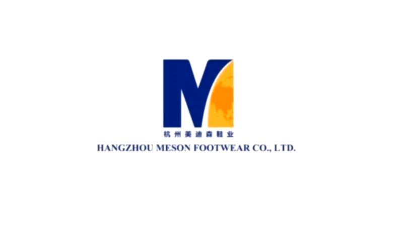 Verified China supplier - Hangzhou Meson Trading Co., Ltd.