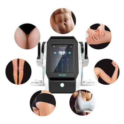 China Portable Electromagnetic Weight Loss RF Body Sculpt Cellulite Removal Tesla Slim Neo Hiemt Pro EMS Machine Muscle Stimulator for sale