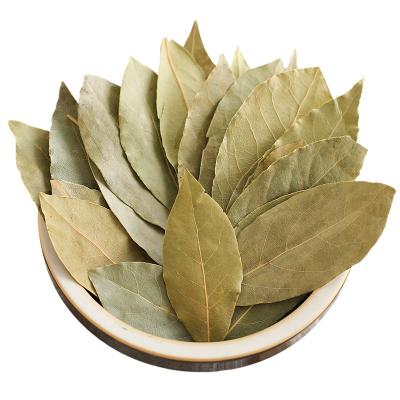 China Wholesale Bulk High Quality Herbs Dried Dried Bay Leaf Single Spice Bay Leaf for sale