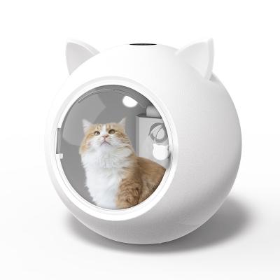 China White Small Animals Household Pet Hair Oven Dryer in the Shape of Cat Ears for Large Dogs or Cats to Dry Their Hair After Bathing for sale