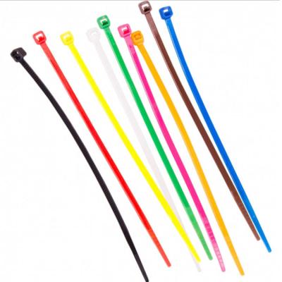 China Nylon free sample plastic colorful zip tie 4.8*200mm cable ties 100pcs kabel ties for sale