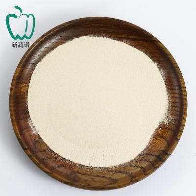 China Xinghua Factory Dried Hot Sale Dehydrated Onion Powder Supply White Powder For Seasoning for sale