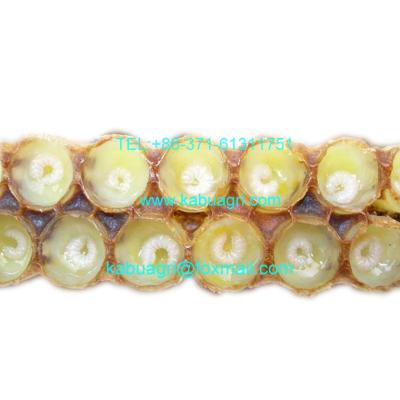 China Natural organic fresh royal jelly/freezed royal jelly KBRJ USDA organic, BRC, Eec, Gap, GMP, for sale