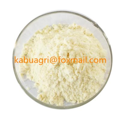 China 10-HDA High Quality Organic Bee Royal Jelly Powder For Sale KBRJ for sale