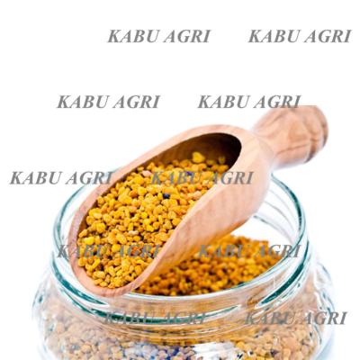 China High Quality Bulk Natural Granule Gluten Free Bee Pollen Bee Food Block for sale