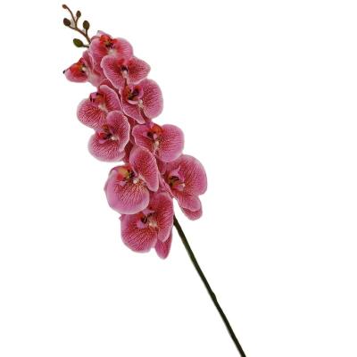 China Artificial Silk Phalaenopsis Orchids Real Orchid Fabric+plastic Stem Orchid Seedlings Touch for sale