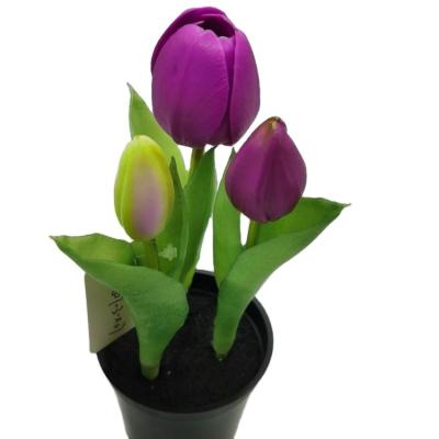 China Real Touch Strip Tulip Home Decorative Tulip Floral Home-Environmental Friendly Artificial Strip Tulip In Plastic Pot for sale