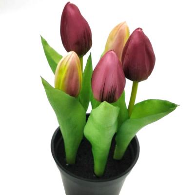 China Valentine's Day Decorative Strip Flowers Artificial Tulip In Tulip Home Decorative Plastic Flower Pot Environmental-Friendly Product for sale