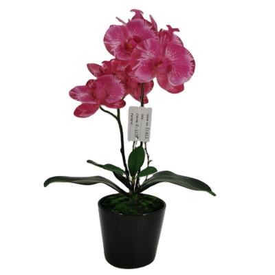 China Potted Artificial Plants Polyester Orchids Phalaenopsis Decorative Orchid In Pot for sale