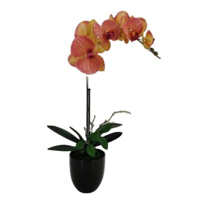 China Polyester Latex Artificial Floral Phalaenopsis In Ceramic Pot Real Touch Latex Orchid Plants Artificial Potted Orchid for sale