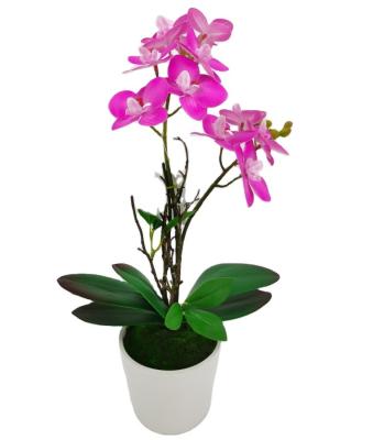 China Polyester Plant Artificial Phalaenopsis 3d Printed Decorative Artificial Orchids Phalaenopsis Orchid Flasks In Ceramic Pot for sale