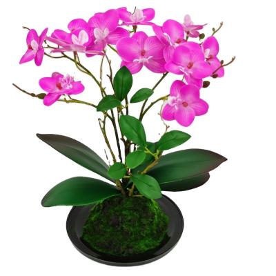 China Polyester Artificial Orchid Flowers Real Touch Artificial Phalaenopsis With Ceramic Pot 3D Priined Orchid Floral for sale