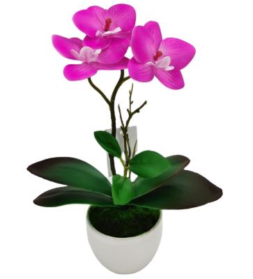 China 3D Polyester Printed Real Touch Artificial Phalaenopsis Potted Orchid Plants Orchid Plants In Ceramic Pot for sale