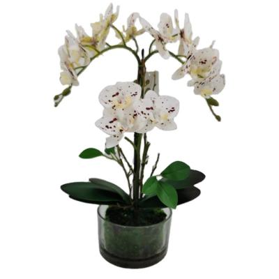 China 3d fabric printed floral orchid in glass pot artificial orchid bonsai orchid vials for sale for home decoration for sale