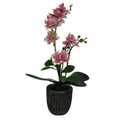 China 3d fabric printed artificial orchid bonsai for home decoration orchid real touch artificial orchid plants fabletics oasis for sale