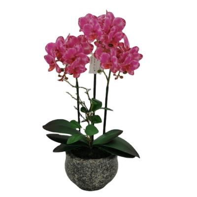 China Polyester Real Touch Artificial Orchid Flower With Potted Artifcial Flowers Decor Orchid Orchidee for sale